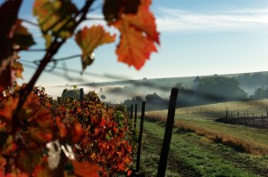 20121019_011 - Kopie           